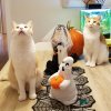 IMG_20181017_180321_118.jpg