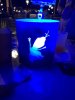 IMG_5100.jpg