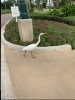 27D2963D-0608-4DFF-B845-03531ACCACB9.jpeg