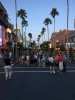 IMG_3080.jpg
