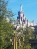 Beast Castle-min.jpg