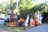 IMG_4766.JPG