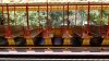 empty train-min.jpg