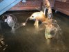 thumbnail_IMG_3502.jpg