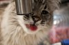DSC_0230.jpg