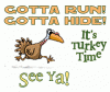 run-turkey-time.gif