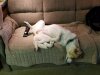 Resized_20171005_181447001_1883.jpg