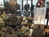 thumbnail_IMG_3818.jpg