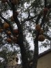 thumbnail_IMG_3901.jpg