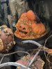 thumbnail_IMG_3902.jpg