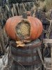 thumbnail_IMG_3904.jpg