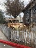 thumbnail_IMG_3906.jpg