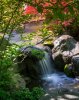 RCK_JapGrdns 0298.jpg