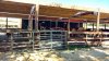 IMG_20181028_130414165_HDR.jpg