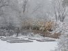 2018-11-09 07.47.38 - Copy.jpg