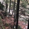 E41B430C-E207-4234-AD84-4F4EF34AD634.jpeg