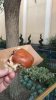 124603E2-04BD-49BC-915B-B3D8705C2B48.jpeg