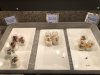 thumbnail_IMG_4091.jpg