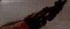4-Ponda-Bobas-Arm.gif