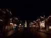 Tree main street.jpg