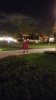 Resized_20181111_213459001_4417.jpeg