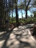 thumbnail_IMG_1833.jpg