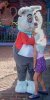 0153-CAT_WhiteRabbit 0153.jpg
