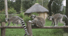 ezgif-4-5a2aa0236770.gif