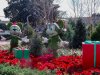 EP Christmas 1421-2.jpg