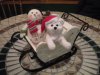 DSCN3548.JPG