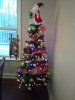 Xmas 2018a.jpg