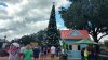 Epcot 11.2018 tree.jpg