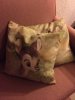 couch pillows.jpg
