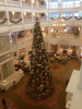 tree3.png