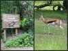 PicMonkey Collage (2).jpg