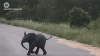 ezgif-4-a006059b8521.gif