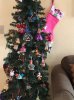 IMG_Dec32018at123246PM.jpg
