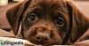 upload_2018-12-3_14-12-14.jpeg
