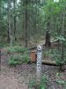 Uppsala forest in rain 2 Trollskogen.jpg