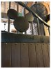 IMG_Dec62018at93122AM.jpg
