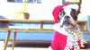 ezgif-4-559028e546d9.gif