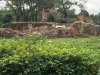 0D249296-9EAA-4130-87B4-A8D5BC3C62FC.jpeg