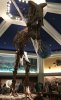 627604C0-0573-48CE-B05D-36CC10E69263.jpeg