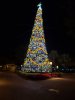 20181204_232730.jpg