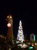 20181205_184202.jpg