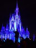 20181206_182226.jpg