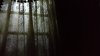 MK haunted m window.jpg