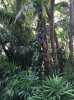 IMG_Dec192018at74802AM.jpg
