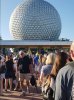 20181017_084456.jpg 20181017_084456.jpg