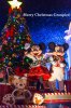 Mickey Minnie Christmas.jpg